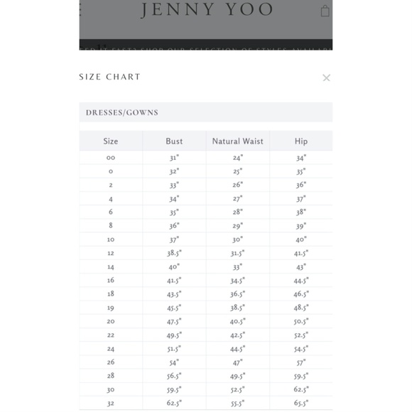 Jenny Yoo Mira Convertible Chiffon Gown - Picture 9 of 9